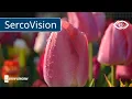Download Lagu SercoVision-optie: Sms-alarm