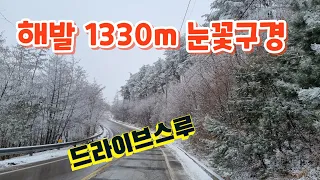 자동차로 갈수있는 가장높은곳 함백산 만항재 드라이브코스~ 썸네일