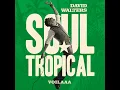 Soul Tropical (Voilaaa Instrumental Remix)