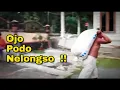 Download Lagu Koes Plus Jawa Ojo Podo Nelongso
