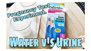 Inside a PREGNANT NOT PREGNANT Digital clearblue Pregnancy Test using water