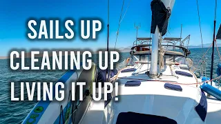 Finally Getting In The Sailing Groove