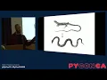 API Evolution the Right Way A Jesse Jiryu Davis