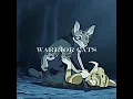 Download Lagu Warrior Cats #warriorsspirit #warriorcats #edit #cats