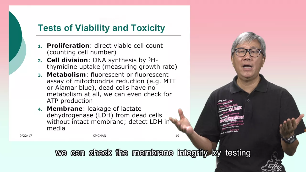 Cytotoxicity Assays (2): How to perform cytotoxicity assays