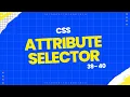 What is a CSS attribute selector - 40