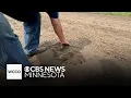 Minnesota farmers navigate worsening drought conditions