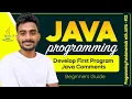 Setup IDE Write Your First Java Program Java Comments Programming Fundamentals with Java 02