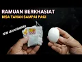 Download Lagu TERNYATA BEGINI KHASIAT TELUR AYAM KAMPUNG DICAMPUR TEH !!