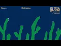 Bluewerks - Snaer - "Meditation"