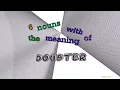 doubter - 7 nouns synonym of doubter sentence examples