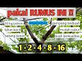 Download Lagu TERBUKTI BERHASIL !!! anggur percabangan pola PASCAL, juara pohonnya juara buahnya