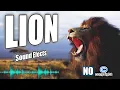 Download Lagu Lion Attack Roar sound effect without copyright | lion sounds