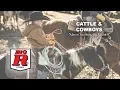 BIG R STORES - Cattle Cowboys
