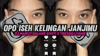 Download DJ OPO ISEH KELINGAN JANJIMU || DJ MANUT DALANE GUSTI X TRESNO LIYANE VIRAL TIKTOK TERBARU MP3