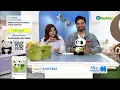Cute Hidden Bamboo Panda Bear Stuffeez only on BuyPass