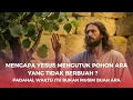 Mengapa Yesus Mengutuk Pohon Ara yang tidak berbuah? Padahal waktu itu bukan musim buah Ara