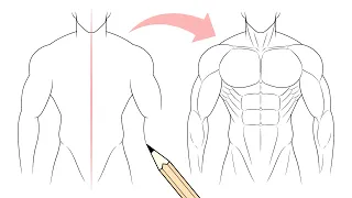 How To Draw A Muscular Body Muscle Anatomy 
