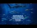 Georgia Aquarium revisit 2026 EXTREMELY BUSY