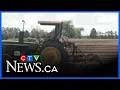 Download Lagu Farmers from all over Canada compete for perfect furrow