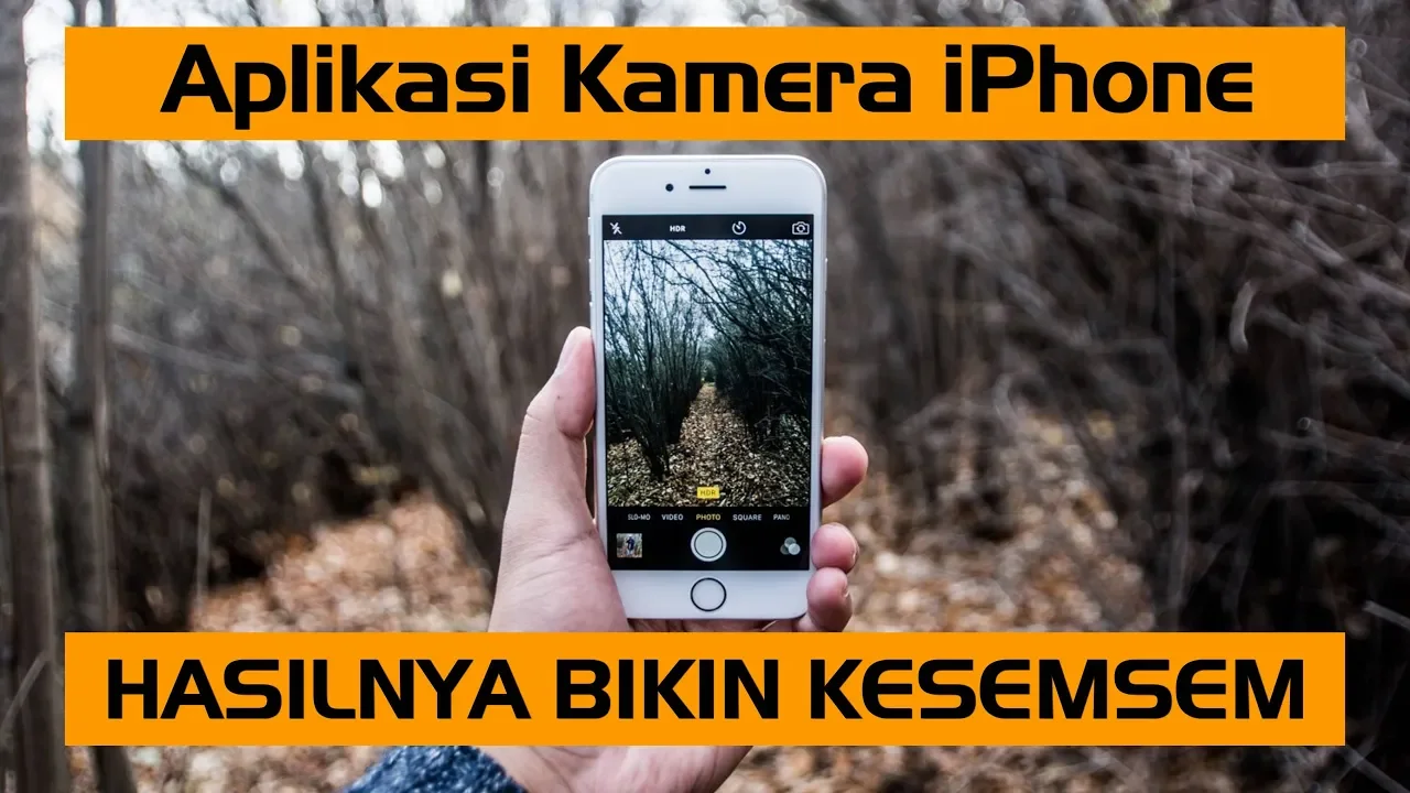 (Review) Lensa Fisheye untuk Smartphone