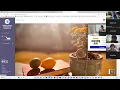 TVAH How to use OLS online classroom Mr Seymour Fall 2023