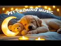 12 Hours of Dog Music with Soothing Piano 💖 Dog Separation Anxiety Music 🐶 Calming Music🎵