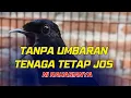 Download Lagu TENAGA MURAI GAK ADA HABISNYA DENGAN RAWATAN SEPERTI INI