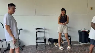 ANJINGNYA BANG GERRY AAA CLAN MASUK FLOKI DOG ACADEMY 