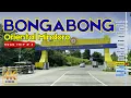 Download Lagu BONGABONG Oriental Mindoro Road Trip No. 4 | The Organic Farming Capital of Oriental Mindoro