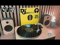 Beenie Man feat. Ms. Thing & Shawnna - Dude (The Remix) @ReggaevilleVinylVibes #181