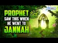 PROPHET SAW THIS WHEN HE WENT TO JANNAH