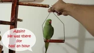 charlie and mittu fights for swing