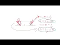 MCV4U Lesson 5 030 Trig Optimization