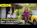 Download Lagu viral ! Anak yatim yang Dipungut Petani Miskin, 10 Tahun Kemudian Ternyata ini Yang Terjadi..