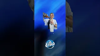 شباحو شو بدن نشرب اليوم ريمكس دندنها