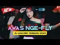 Download Lagu AWAS NGE-FLY || DJ AMAZING TERBARU JUNGLE DUTCH 2023