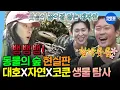 Download Lagu [나혼자산다] 뱀 나와도 그저 싱글벙글🌿 보고 있으면 저절로 힐링되는 대자연 원정대의 자연 탐방🦋  | #김대호 #옥자연 #코드쿤스트 MBC250620방송