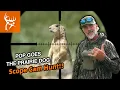 Tombo vs Prairie Dogs Scope Cam hunting Buck Commander