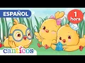 Los Pollitos Dicen Pio Pio Mas Canciones Infantiles y Bilingual Nursery Rhymes canticosworld