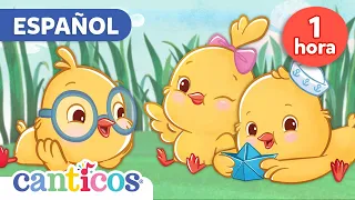 Los Pollitos Dicen Pio Pio Mas Canciones Infantiles Y Bilingual Nursery Rhymes Canticos 