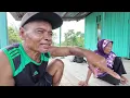 Lagu PAK WANI \u0026 BU WANI SIBUK WARNAI RUMAH, MBAH SRI DAN MBAH PUTRI IKUT MERAMAIKAN SUASANA