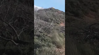 سبحان خالق الأكوان 