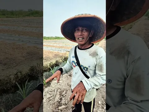 Pak Joko dari SP6B yang pantang menyerah mengolah lahan barunya.