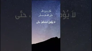 حديث لا يؤمن احدكم حتى يحب لاخيه ما يحب لنفسه 