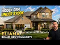 Tour This Hidden Gem Under 700K in Brand New Eliana McKinney TX