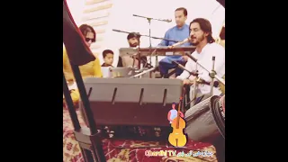 آهنگ جدید شرافت پروانی یواش یواش میایه 