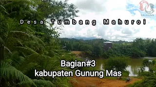 Download Desa Tumbang Mahuroi desa dayak MP3