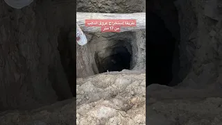 الذهب موجود في عمق ١٧ متر تحت الارض العبري ملك المناجم King Of Minings 