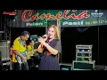 Lagu FULL ALBUM CAMELIA PELAN TAPI PASTI - WEDDING MEGA \u0026 ARIK CEPOGO KEMBANG JEPARA